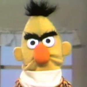 Meet your Posher, Carol-ann